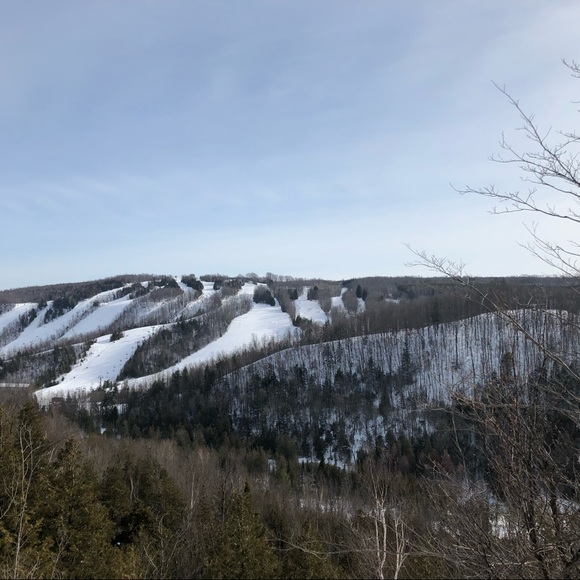 Meet your Posher, Brookelin - Picture 1 of 1